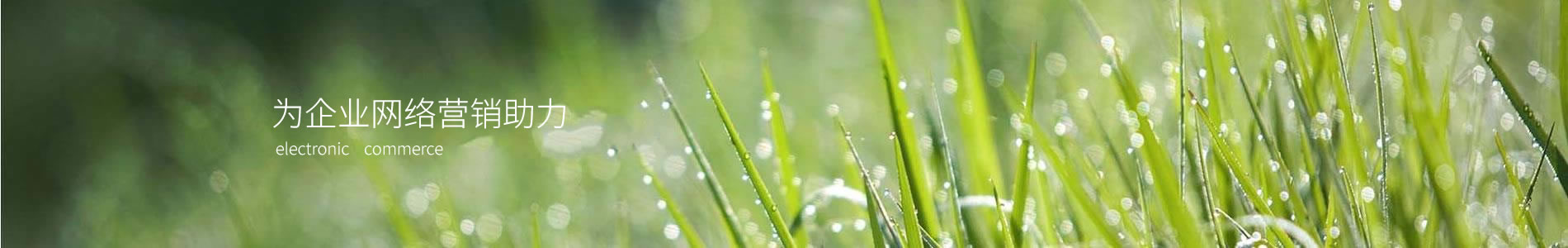 ӱ˶Žҵ޹˾